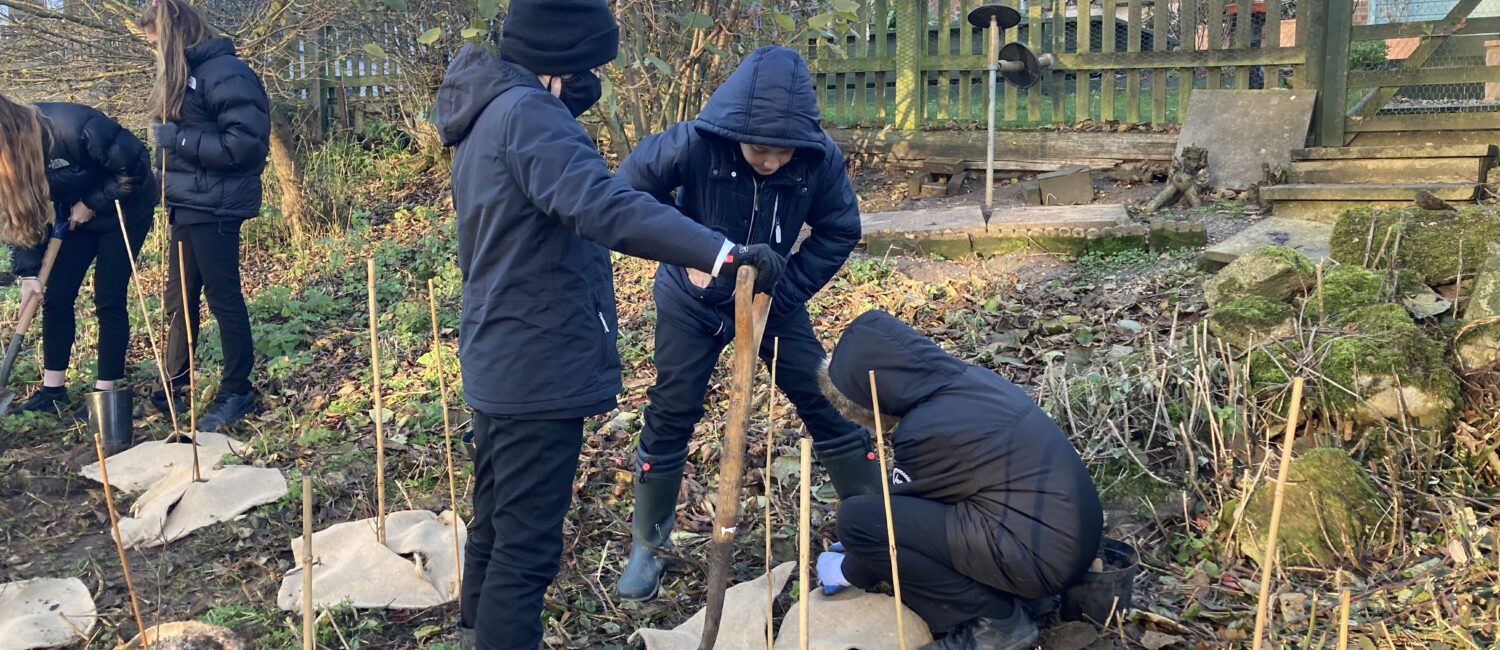 Students have been tree planting at the Museum of East Anglian Life