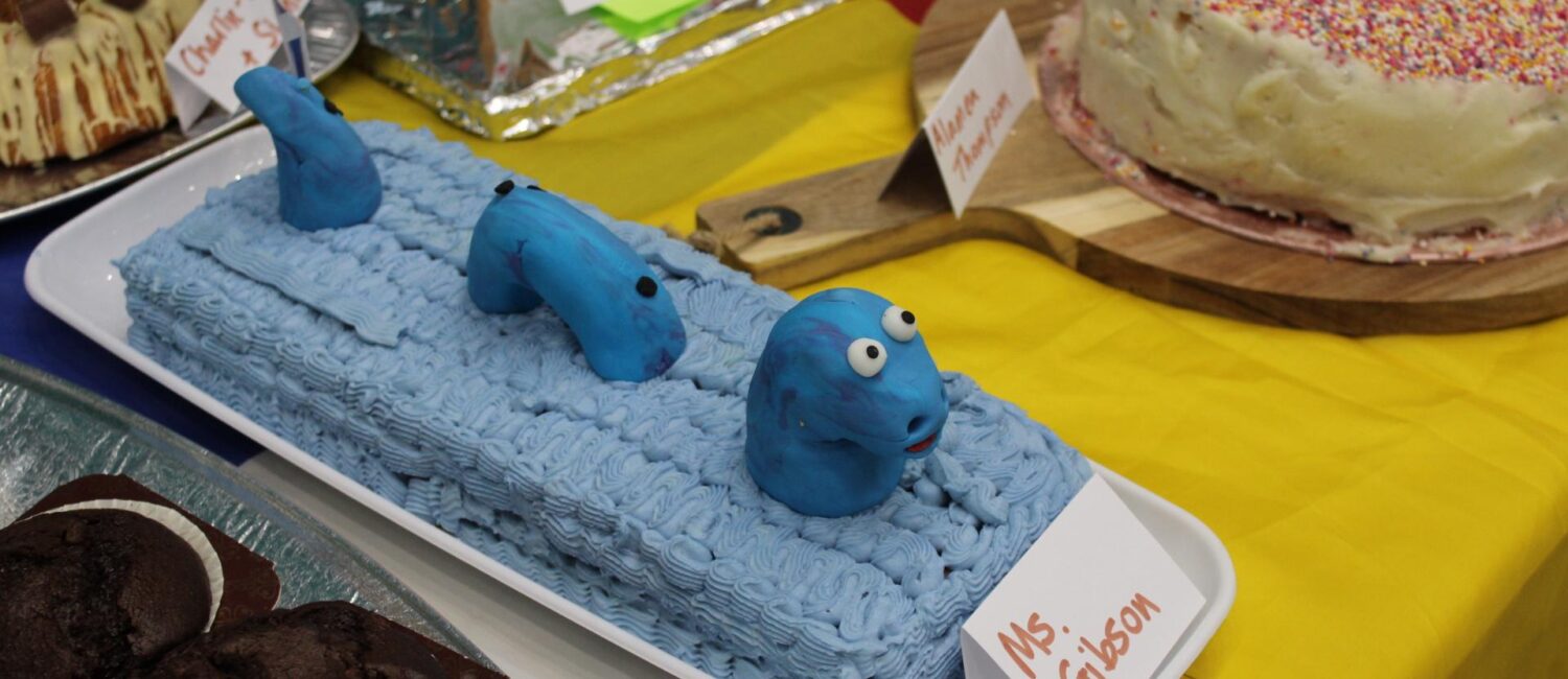 Amazing Cakes made by our staff and students in aid of Macmillan Cancer
