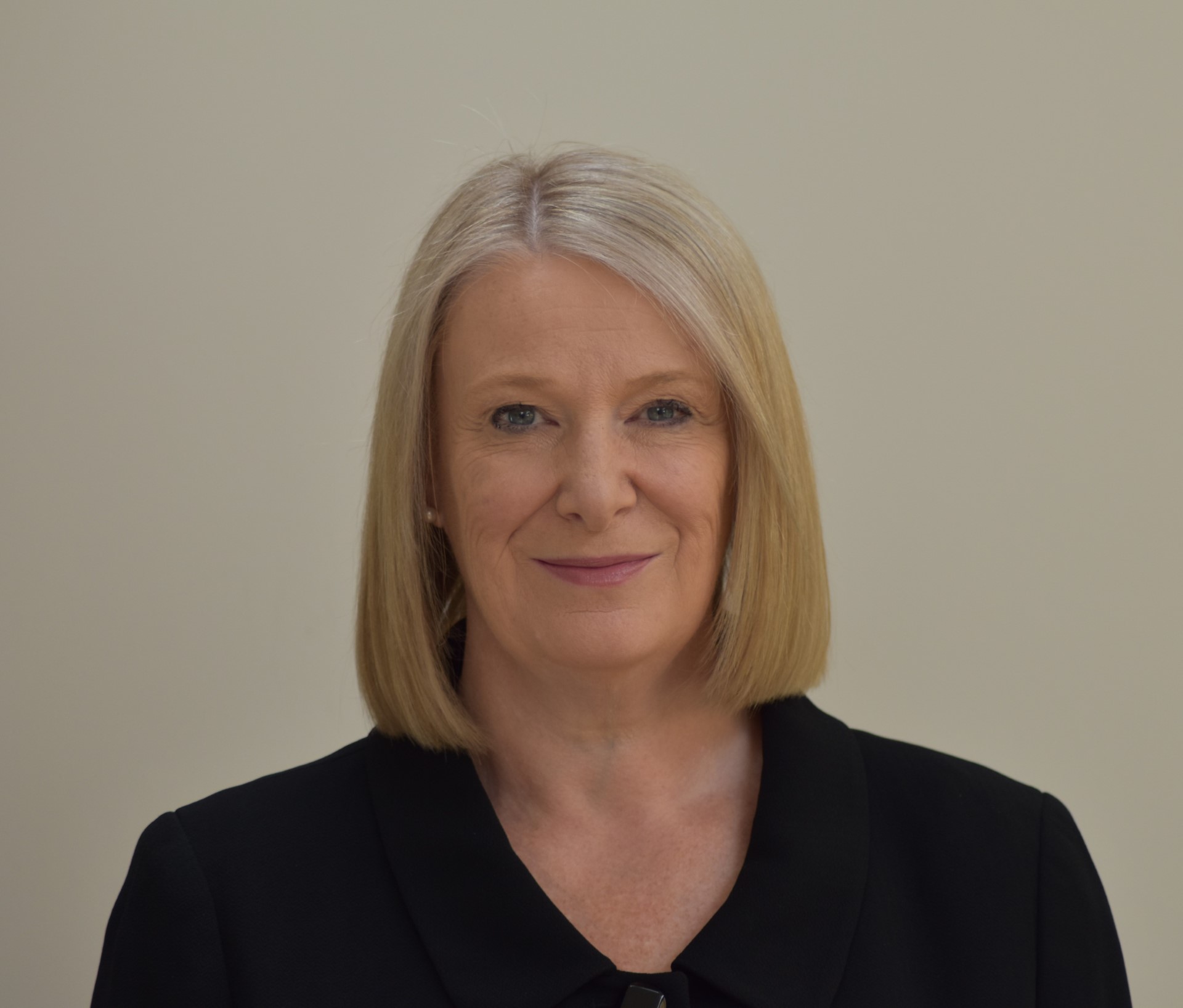 School Improvement Board Stowmarket High School